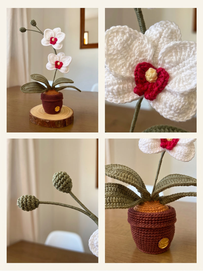 Crochet Orchid Pattern — 30 cm Potted Flower Amigurumi